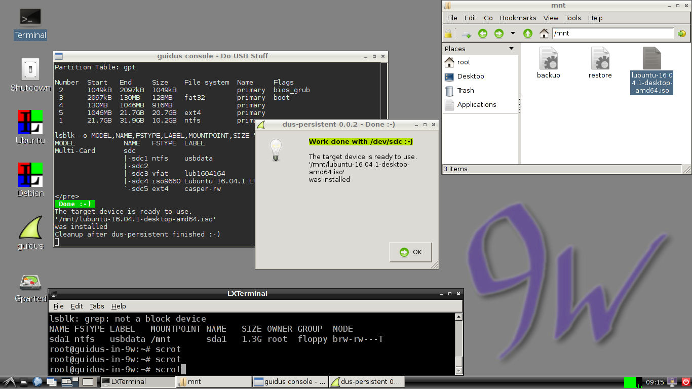 10-dus-in-9w_dus-making-persistent-live-drive-from-Lubuntu-iso-file_work-done.png