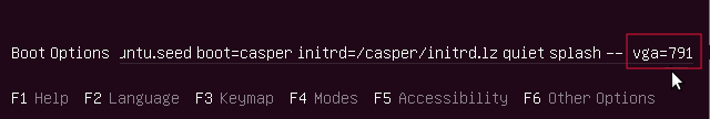 ...initrd=/casper/initrd.lz 静かにスプラッシュ --