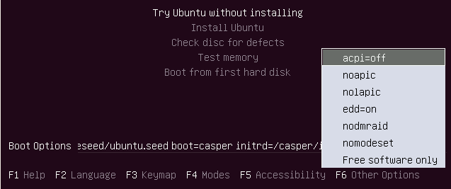 ubunutu kernel boot options