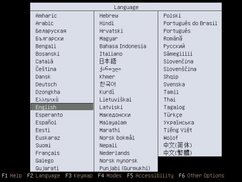 Install1Language.png