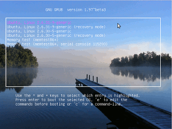 Grub2?action=AttachFile&do=get&target=grub2.lake.splash.png