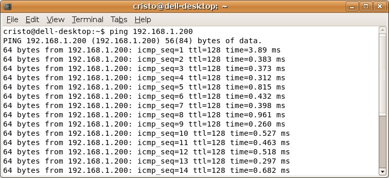 ubuntu_ping.jpg
