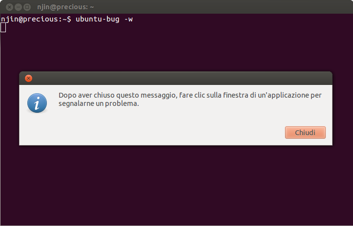 terminale con ubuntu-bug -w