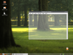 SimplyStunningLinuxDesktop?action=AttachFile&do=get&target=MattsDesktop_small.png